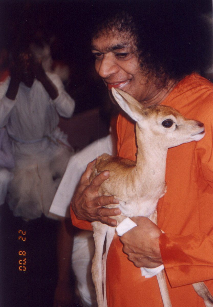 Beloved Bhagawan Sri Sathya Sai Baba